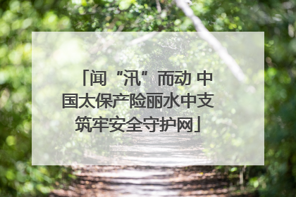 闻“汛”而动 中国太保产险丽水中支筑牢安全守护网