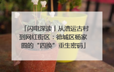 闪电深读丨从漕运古村到网红街区：德城区杨家圈的“四换”重生密码
