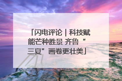 闪电评论｜科技赋能芒种胜景 齐鲁“三夏”画卷更壮美