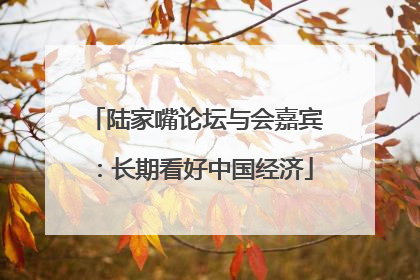 陆家嘴论坛与会嘉宾：长期看好中国经济