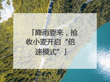 降雨要来，抢收小麦开启“倍速模式”