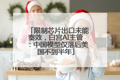 限制芯片出口未能奏效，白宫AI主管：中国模型仅落后美国不到半年