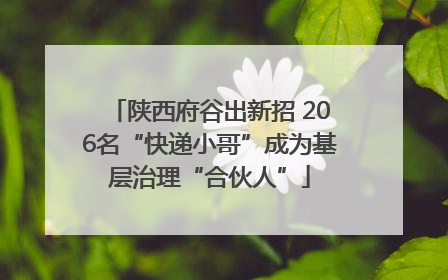 陕西府谷出新招 206名“快递小哥”成为基层治理“合伙人”