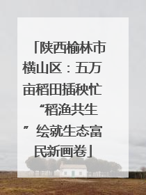 陕西榆林市横山区：五万亩稻田插秧忙 “稻渔共生”绘就生态富民新画卷