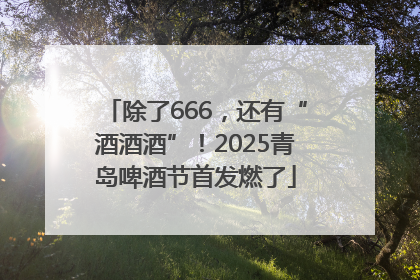 除了666，还有“酒酒酒”！2025青岛啤酒节首发燃了