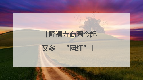 隆福寺商圈今起又多一“网红”