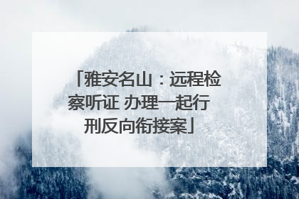 雅安名山：远程检察听证 办理一起行刑反向衔接案