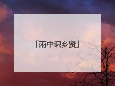 雨中识乡贤