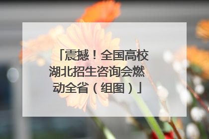 震撼！全国高校湖北招生咨询会燃动全省（组图）