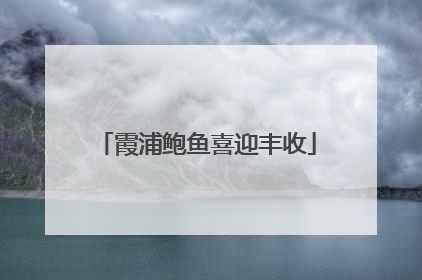 霞浦鲍鱼喜迎丰收