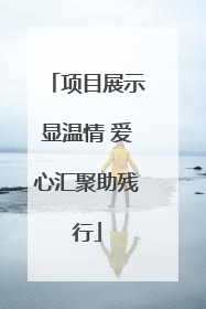 项目展示显温情 爱心汇聚助残行