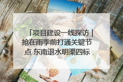 项目建设一线探访｜抢在雨季前打通关键节点 东南退水明渠四标段项目顺利完工