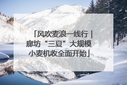 风吹麦浪一线行｜廊坊“三夏”大规模小麦机收全面开始