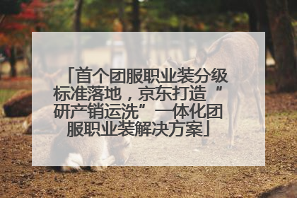 首个团服职业装分级标准落地，京东打造“研产销运洗”一体化团服职业装解决方案