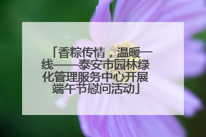 香粽传情，温暖一线——泰安市园林绿化管理服务中心开展端午节慰问活动