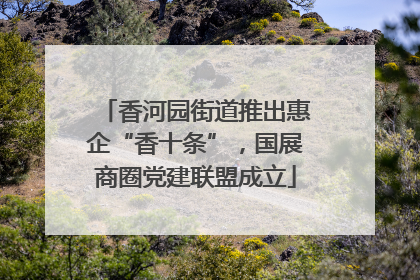 香河园街道推出惠企“香十条”，国展商圈党建联盟成立