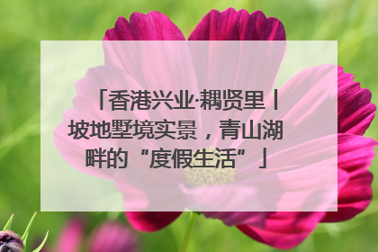 香港兴业·耦贤里丨坡地墅境实景，青山湖畔的“度假生活”