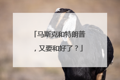 马斯克和特朗普，又要和好了？