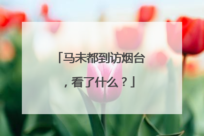 马未都到访烟台，看了什么？