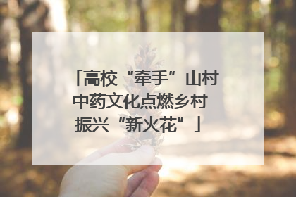 高校“牵手”山村 中药文化点燃乡村振兴“新火花”