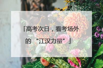 高考次日，看考场外的 “江汉力量”