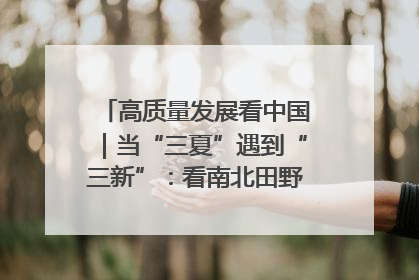 高质量发展看中国｜当“三夏”遇到“三新”：看南北田野里的科技共生记