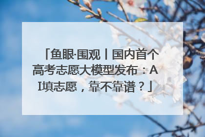 鱼眼·围观丨国内首个高考志愿大模型发布：AI填志愿，靠不靠谱？
