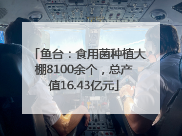 鱼台：食用菌种植大棚8100余个，总产值16.43亿元