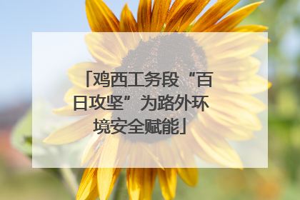 鸡西工务段“百日攻坚”为路外环境安全赋能