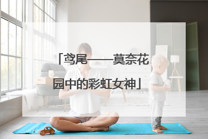 鸢尾——莫奈花园中的彩虹女神