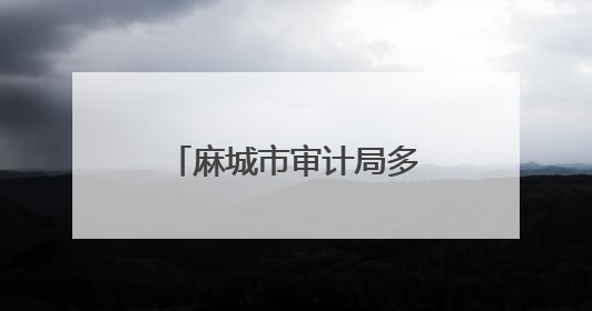 麻城市审计局多措并举推进全省审计机关 “三大提升年” 行动