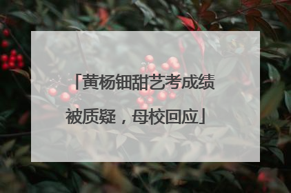 黄杨钿甜艺考成绩被质疑，母校回应