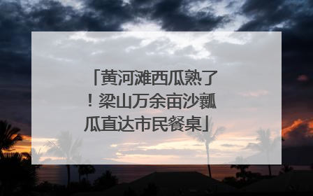 黄河滩西瓜熟了！梁山万余亩沙瓤瓜直达市民餐桌