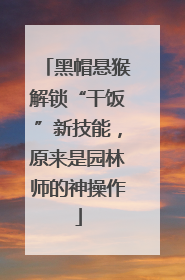 黑帽悬猴解锁“干饭”新技能，原来是园林师的神操作