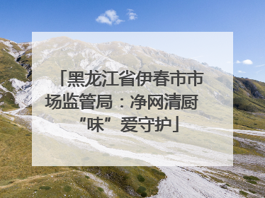 黑龙江省伊春市市场监管局：净网清厨 “味”爱守护
