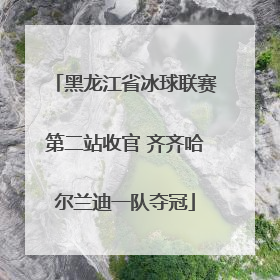 黑龙江省冰球联赛第二站收官 齐齐哈尔兰迪一队夺冠