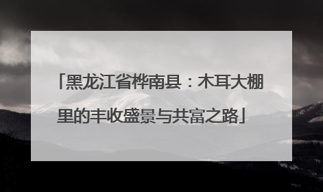 黑龙江省桦南县：木耳大棚里的丰收盛景与共富之路