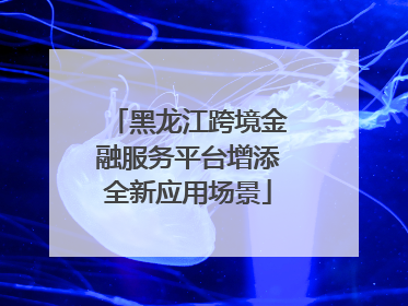 黑龙江跨境金融服务平台增添全新应用场景