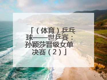 （体育）乒乓球——世乒赛：孙颖莎晋级女单决赛（2）