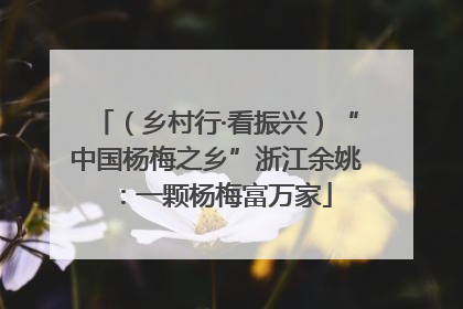 （乡村行·看振兴）“中国杨梅之乡”浙江余姚：一颗杨梅富万家
