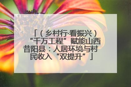 （乡村行·看振兴）“千万工程”赋能山西昔阳县：人居环境与村民收入“双提升”