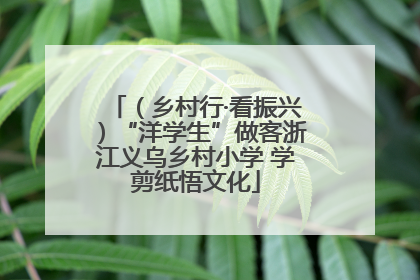 （乡村行·看振兴）“洋学生”做客浙江义乌乡村小学 学剪纸悟文化