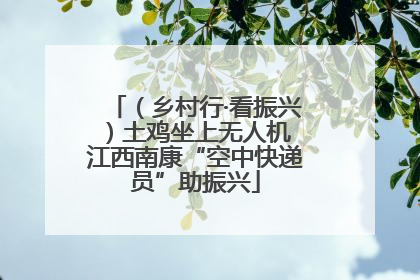 （乡村行·看振兴）土鸡坐上无人机 江西南康“空中快递员”助振兴