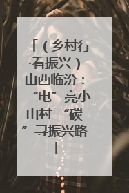 （乡村行·看振兴）山西临汾：“电”亮小山村 “碳”寻振兴路