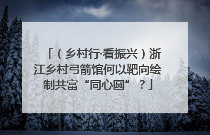 （乡村行·看振兴）浙江乡村弓箭馆何以靶向绘制共富“同心圆”？