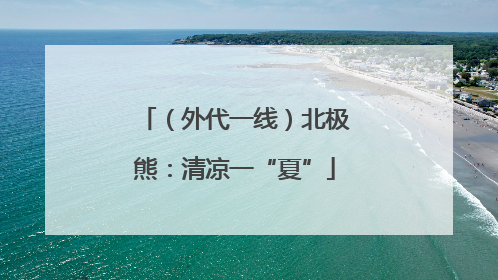 （外代一线）北极熊：清凉一“夏”