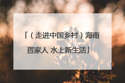 （走进中国乡村）海南疍家人 水上新生活