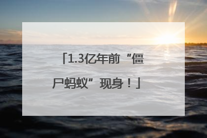 1.3亿年前“僵尸蚂蚁”现身！