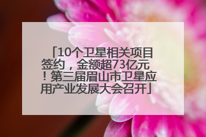 10个卫星相关项目签约，金额超73亿元！第三届眉山市卫星应用产业发展大会召开