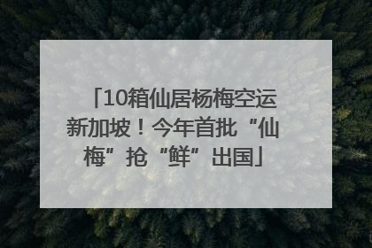 10箱仙居杨梅空运新加坡！今年首批“仙梅”抢“鲜”出国